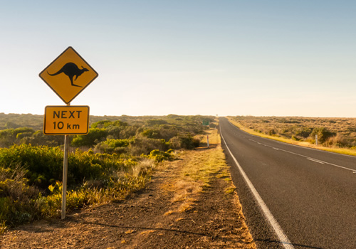 removalist, Home, Royal City Removalist